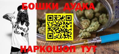 сатива Лесосибирск