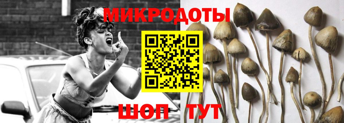 Галлюциногенные грибы Cubensis  Вход с VPN  Арсеньев 